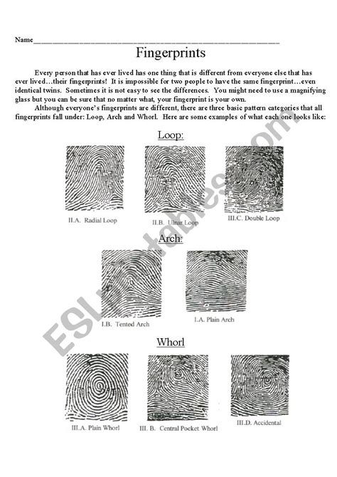 Because of their uniqueness and consistency over time, fingerprints have been used for identification for over a century, more recently becoming automated (i. . Fingerprint identification practice worksheet